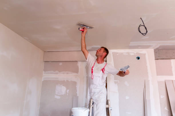 Best Wallpaper Removal and Painting  in Mason City, IA